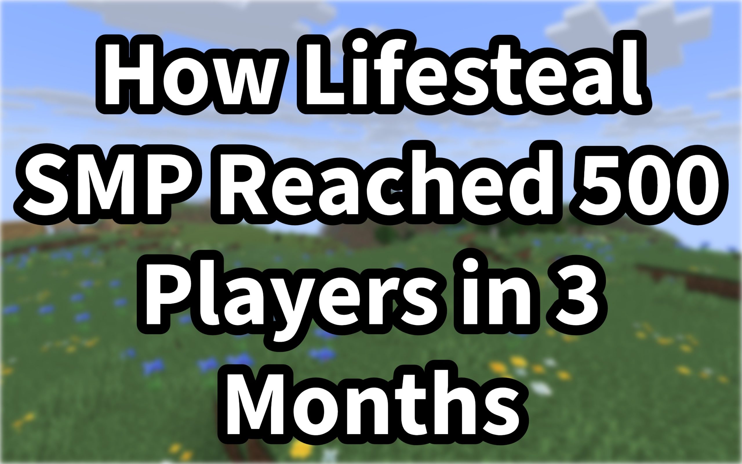 Case Study: How Lifesteal SMP Reached 500 Players in 3 Months