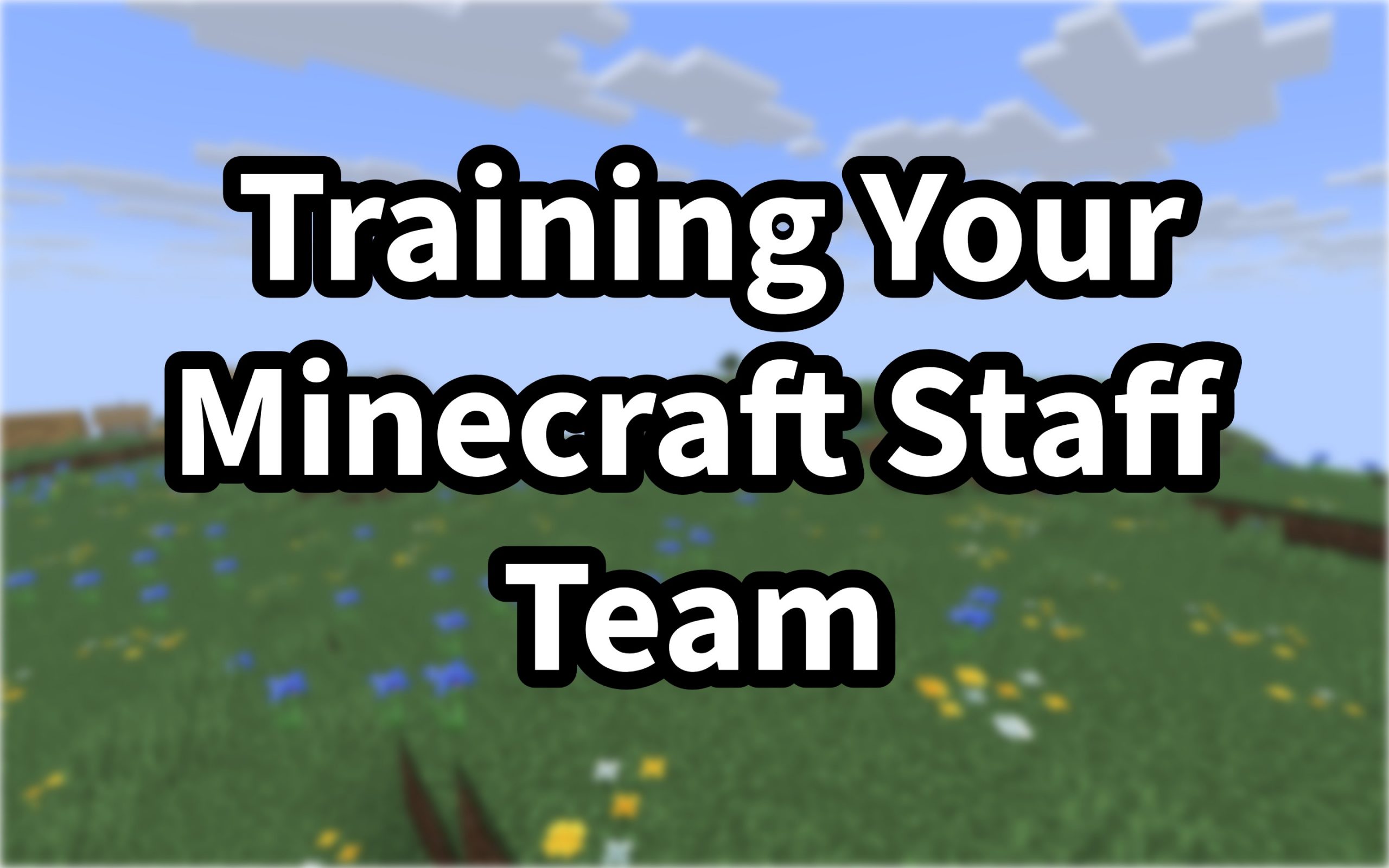 Training Your Minecraft Staff Team