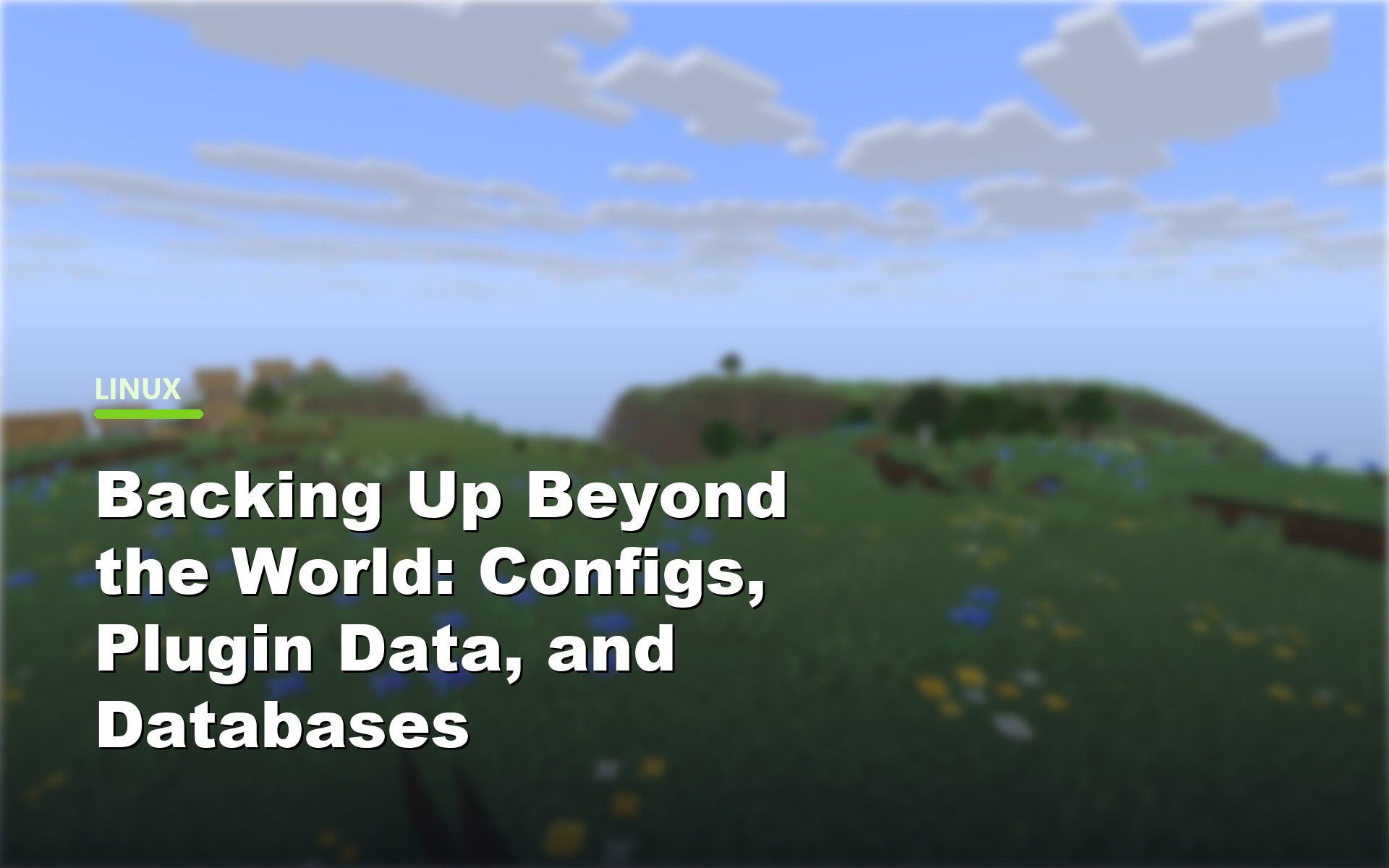 Backing Up Beyond the World: Configs, Plugin Data, and Databases