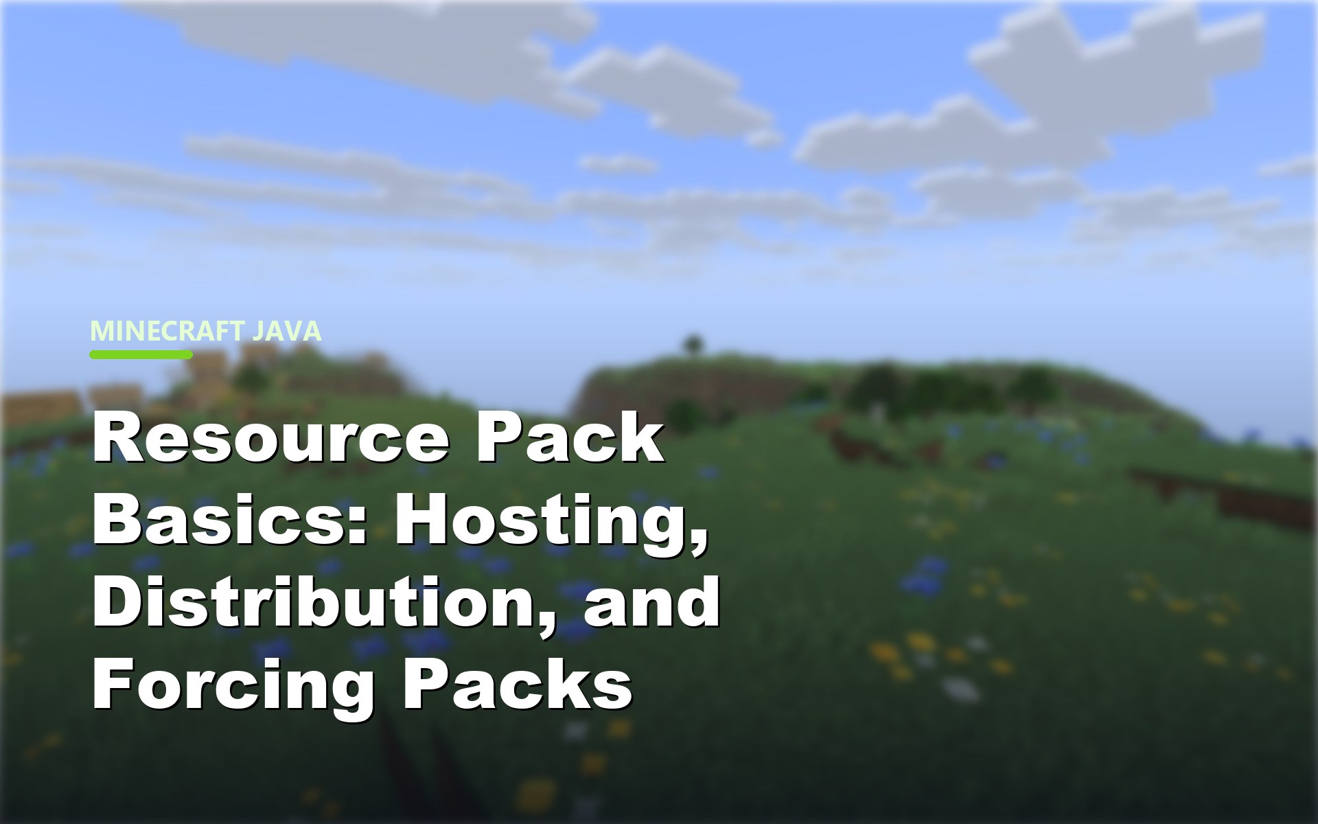 Resource Pack Basics: Hosting, Distribution, and Forcing Packs