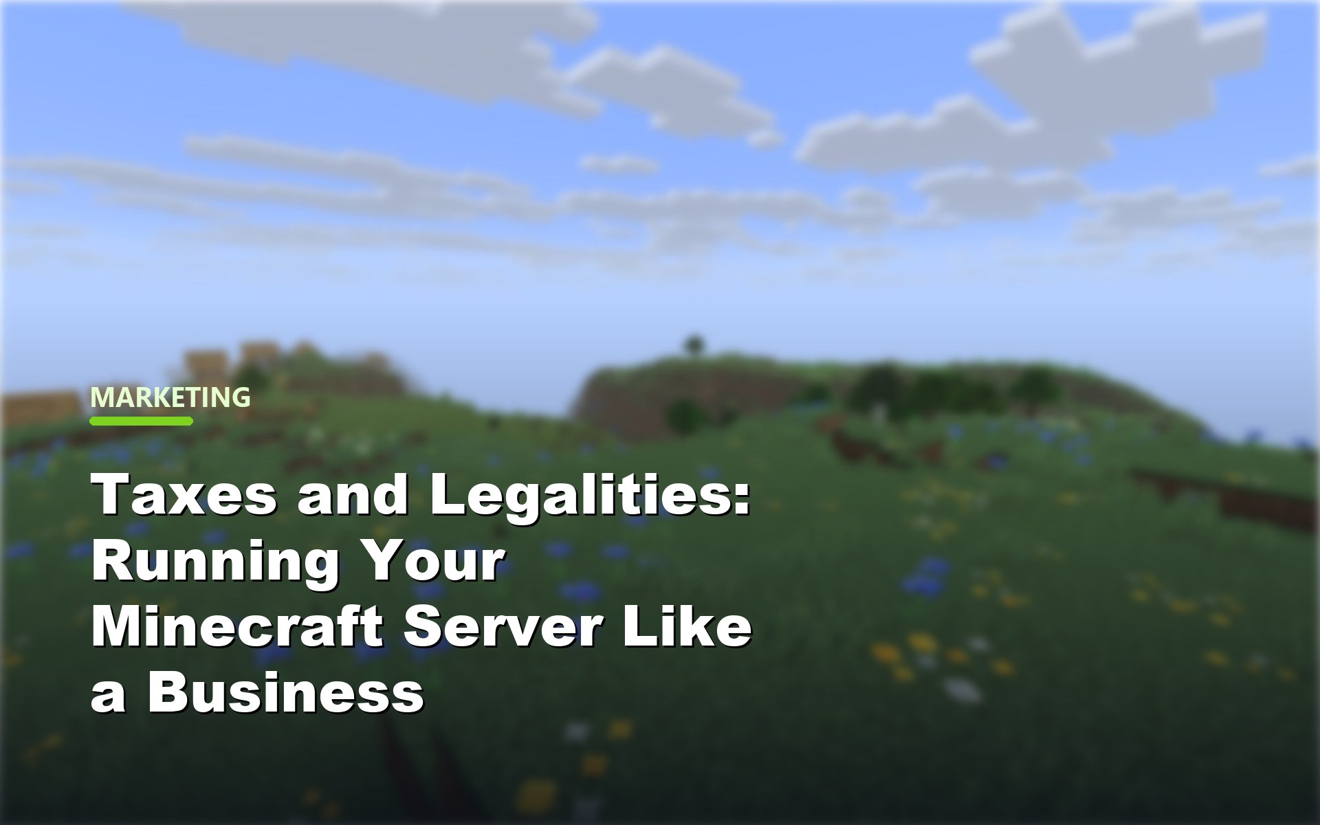 Taxes and Legalities: Running Your Minecraft Server Like a Business