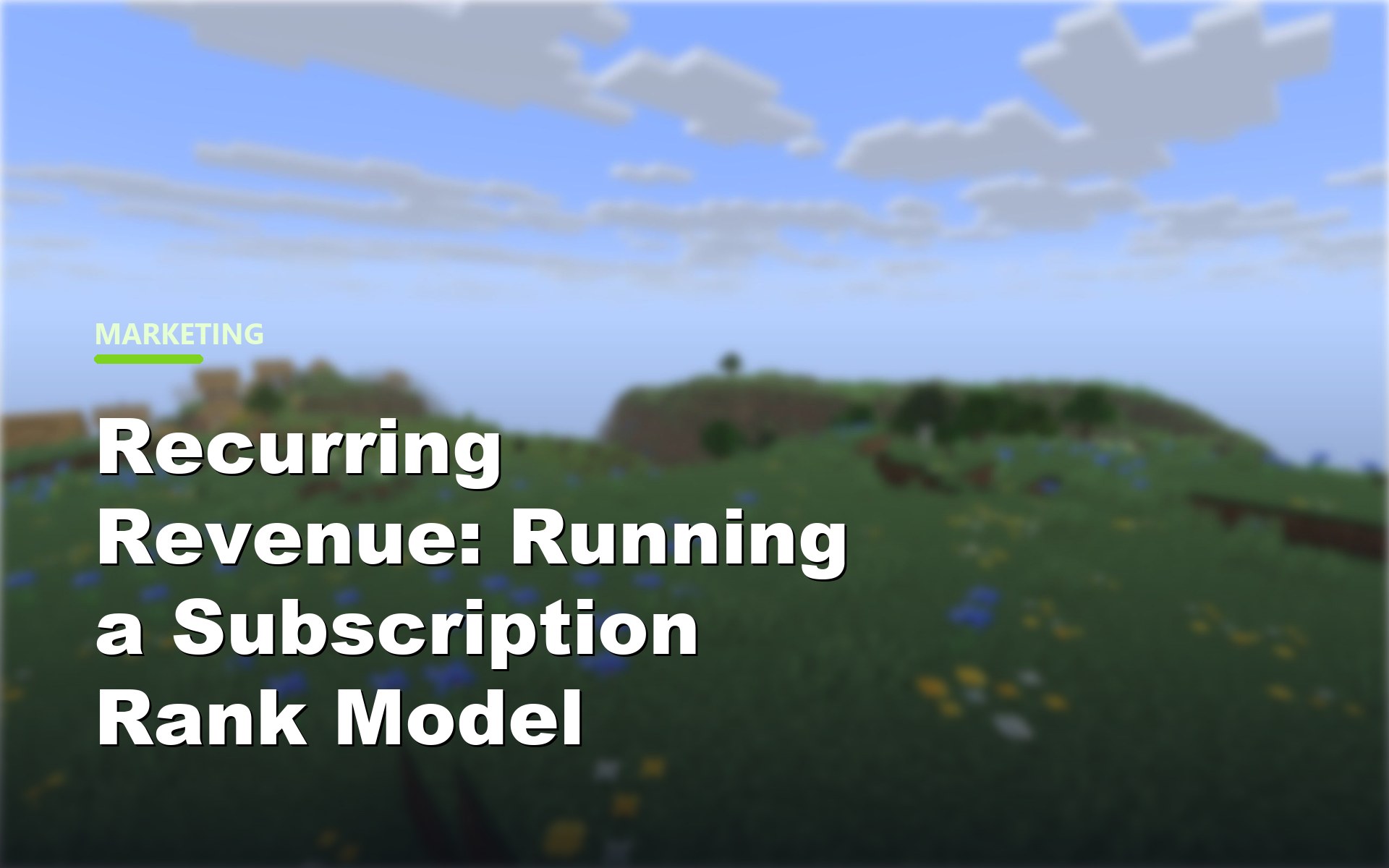 Running a subscription rank model for a Minecraft server cover